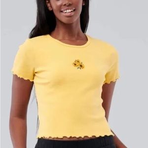 hollister sunflower crop top